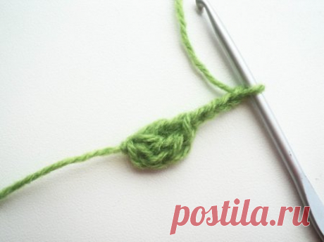 Боснийский бактус крючком