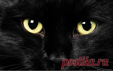 Что же такое - СЧАСТЬЕ? (Очень интересная глубокая история) | ЖЕНСКИЙ МИР