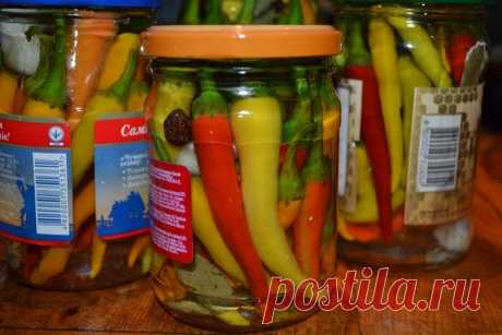 Маринованные перцы чили на зиму