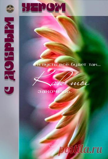 С добрым утром Привет Здрасте