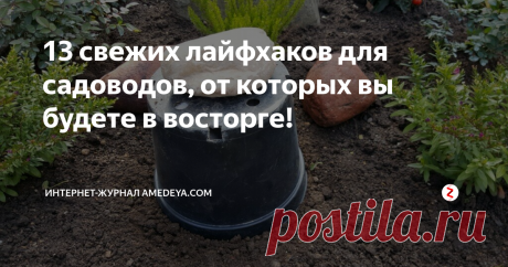 13 свежих лайфхаков для садоводов, от которых вы будете в восторге! От использования оставшихся кофейных зерен до предотвращения попадания грязи под ногти, делимся с вами 13 советами и хитростями, которые помогут сделать весеннее садоводство более комфортным.
1. Чтобы удалить солевые отложения, которые образуются на глиняных горшочках, смешайте в равных частях белый уксус, спирт и воду в бутылке с распылителем. Нанести смесь на кастрюлю и вымыть пластиковой щеткой