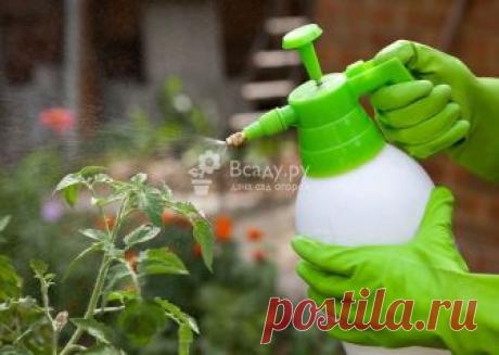 Применение бора в качестве удобрения и стимулятора Три класса нехватки бора, рецепты удобрений. Чем чревато перенасыщение бором. Повышаем урожайность и стимулируем развитие растений борной кислотой