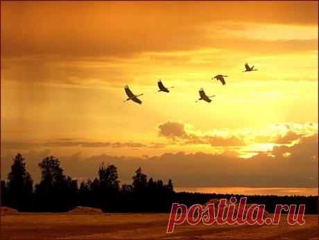 Обсуждения - Блог. Run - Группы Мой Мир