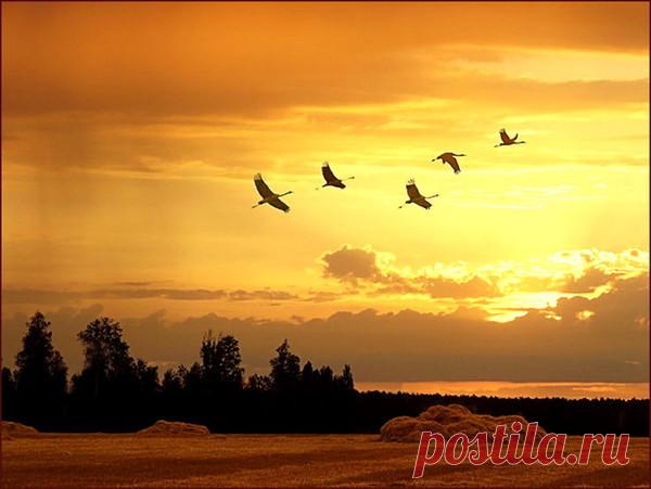 Обсуждения - Блог. Run - Группы Мой Мир