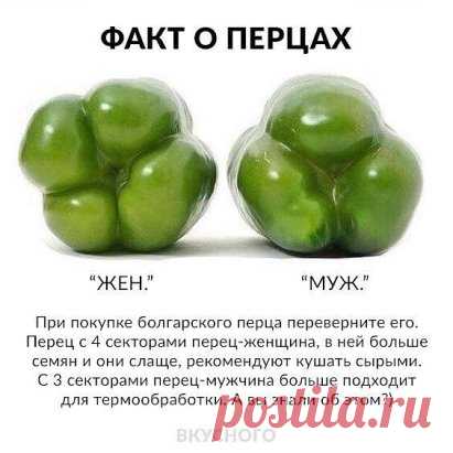 полезно знать!