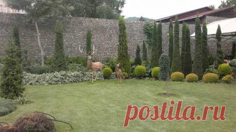 Наши работы — Landscape.kz, ландшафтный дизайн в Алматы,садовник в Алматы, альпийские горки, водоемы в Алматы, пруды в Алматы, газоны в Алматы, водопады в Алматы, поливочная система в Алматы, ландшафтное проектирование в Алматы, сады на крыше в Алматы, новогоднее оформление в Алматы, хвойные лиственные крупномеры в Алматы.