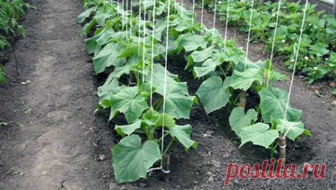 Новости - МирТесен