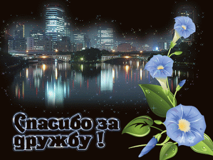 Поиск в Google+