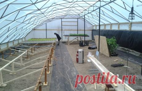 Китайские теплицы: фото парников в России, характеристика, установка, видео