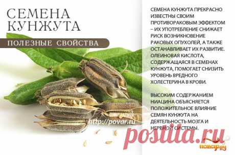 Польза семян кунжута - чем полезны семена кунжута для организма - Повар.ру