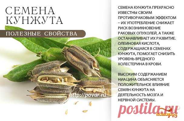 Польза семян кунжута - чем полезны семена кунжута для организма - Повар.ру
