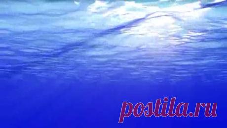 Караоке,Дикие лебеди,С.Ротару