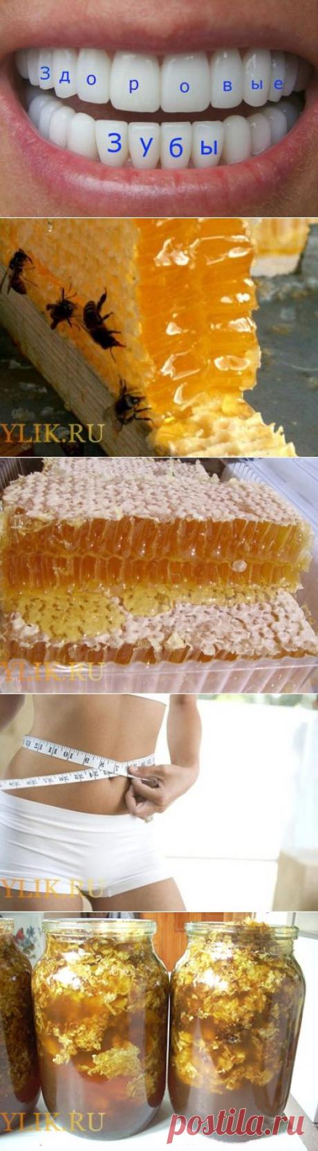 Как забыть про стоматологов