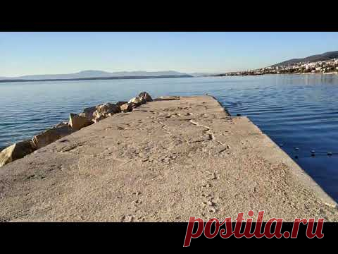 #афера #кони как зарабатывают на животных #хорватия #selce город вымыли после шторма