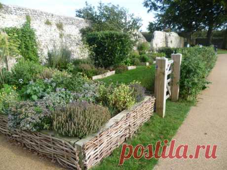 Кухонный садик: от идеи до результата