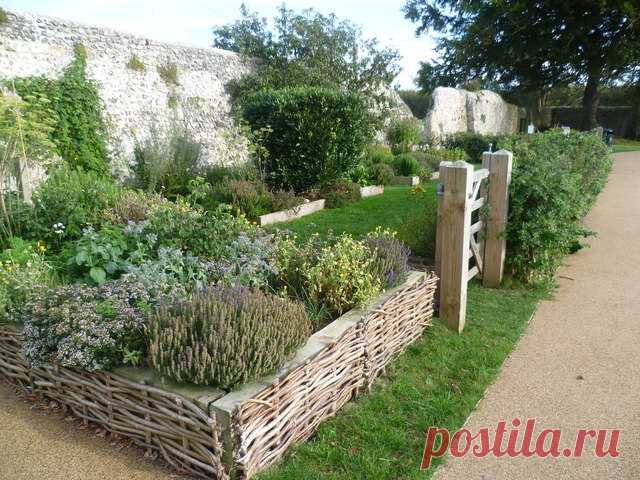 Кухонный садик: от идеи до результата