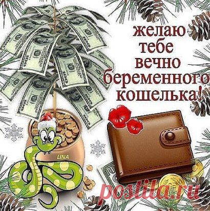 Интересные новости. ФОТОСТРАНА. ЖЕЛАЮ ВАМ ВЕЧНО БЕРЕМЕННОГО КОШЕЛЬКА!