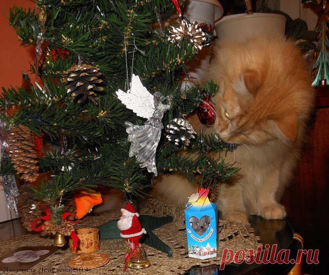 Решил попробовать на вкус!