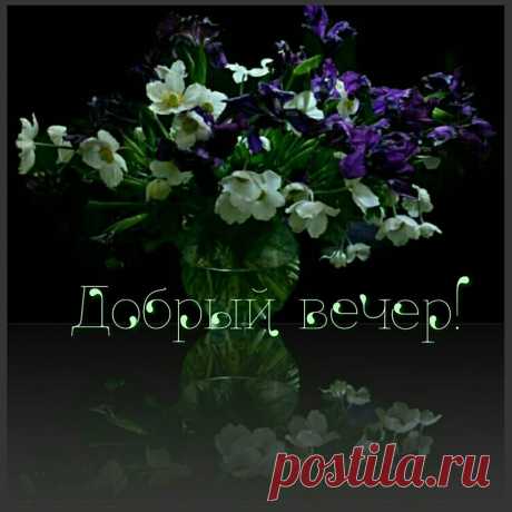 (14) Зина Таирова