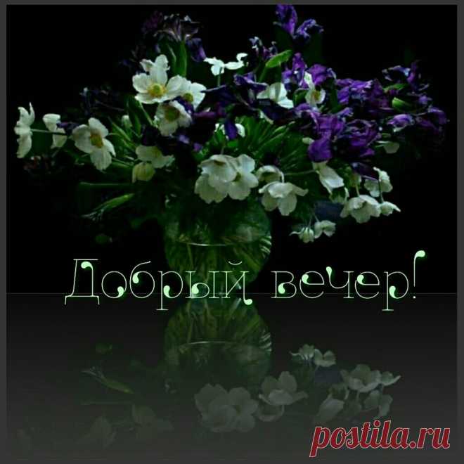 (14) Зина Таирова