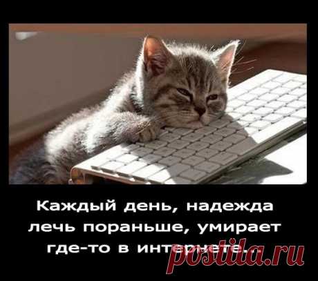Набор сотрудников для удаленной работы.      
Абсолютно чистый легальный интернет-проект.Официальное трудоустройство стабильный доход,соц-пакет.Без распрастранения продукции и финансовых вложений.Предложение подходит абсолютно всем начиная от студентов и людей пенсионного возраста,возможно совмещение с основной работой