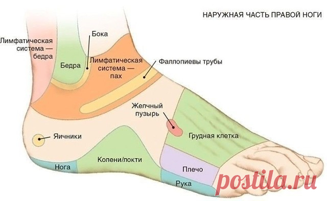 7 АКТИВНЫХ ТОЧЕК НА СТОПЕ ВЕРНУТ ВАС К ЖИЗНИ ЗА ПАРУ МИНУТ! - Народные советы