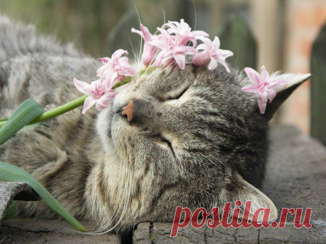 Берегите природу