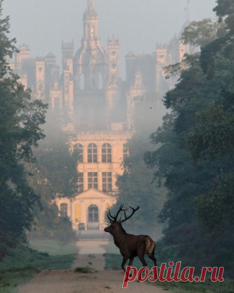 Замок Шамбор, Франция