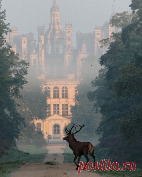 Замок Шамбор, Франция