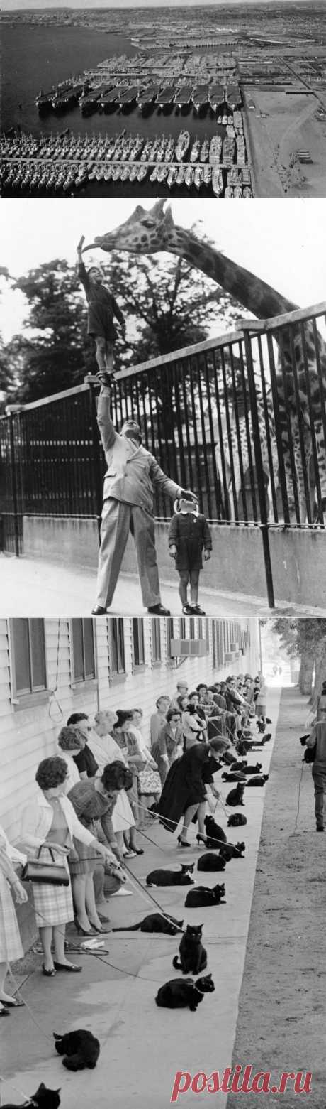 Коллекция редких фотографий, на которых оживает история / Всё самое лучшее из интернета