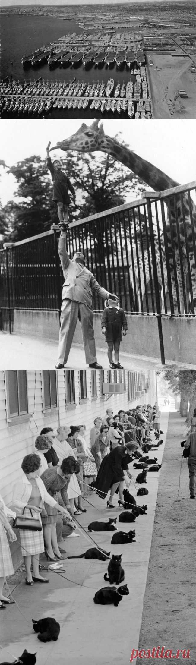 Коллекция редких фотографий, на которых оживает история / Всё самое лучшее из интернета