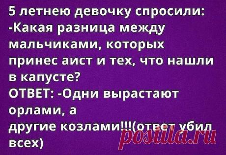 САРА, Я ТЕБЯ УМОЛЯЮ!..