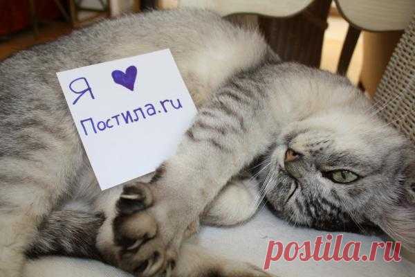 Ещё один поклонник прислал