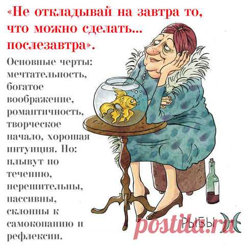 Смешное: Зачем вам солнце, если я рядом? - МирТесен