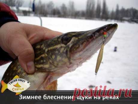 Зимнее блеснение щуки на реках | НА РЫБАЛКУ !!!!