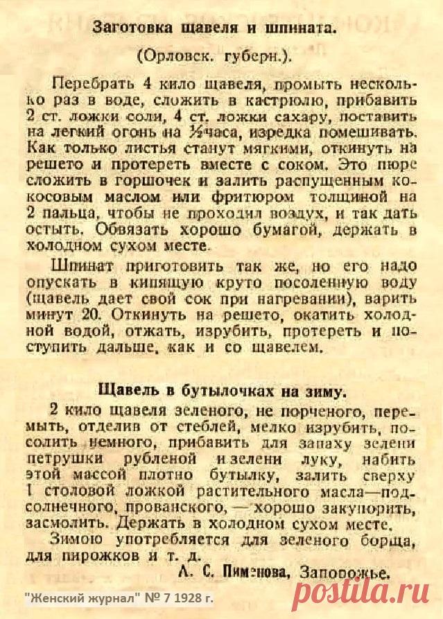 Заготовка щавеля и шпината