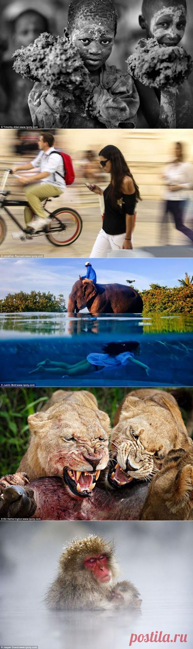 HIC ET NUNC: Победители конкурса Travel Photographer Of The Year 2013