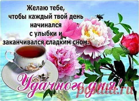 i-4567.gif (483×350)