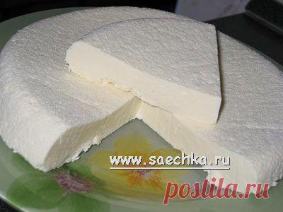 Домашний сыр "Брынза" | рецепты на Saechka.Ru