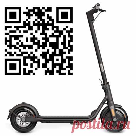 Ninebot KickScooter F25