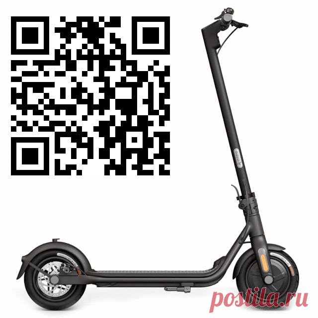 Ninebot KickScooter F25