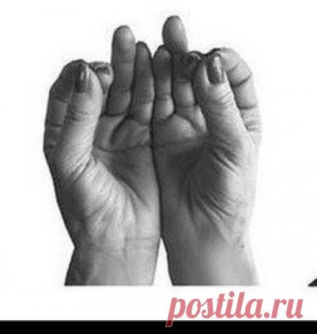 МУДРЫ БОГАТСТВА.