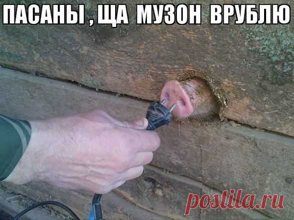 Сохранённые фотографии | 115 фотографий