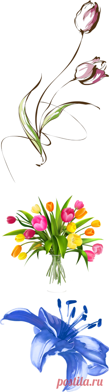 *** - Цветы - Клипарт - Всё для photoshop. - Мир интересного.