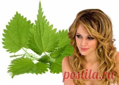 Забудьте о выпадении волос! Эффективные рецепты народной медицины