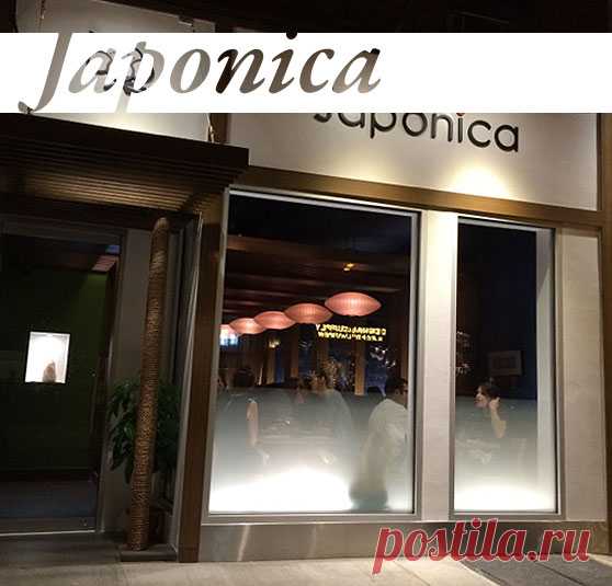 Japonica NYC - The best sushi in the Village