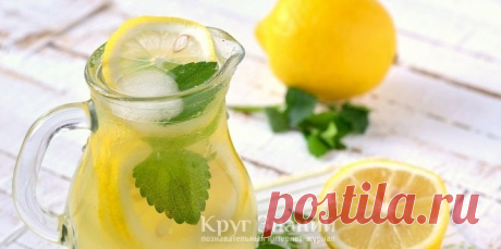Как приготовить лимонад - Круг знаний