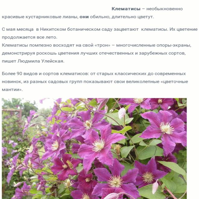 Климатисы