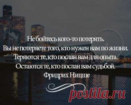 журнал "Цветы" (FLOWERS MAGAZINE) - Хроника