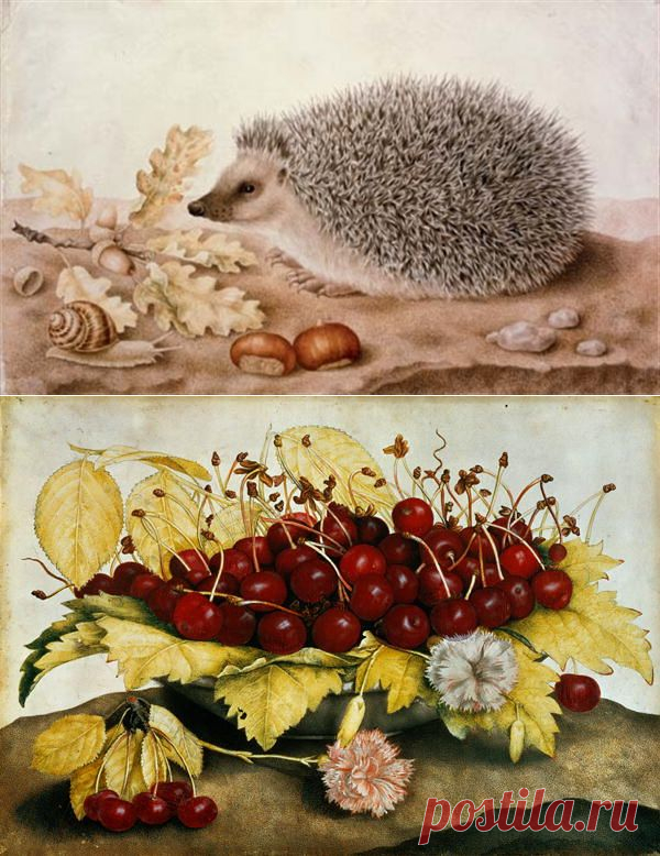Джованна Гарцони (1600–1670)